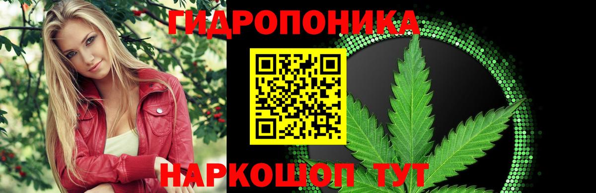 Марихуана сатива  Каннабис Ganja  Обнинск  Вход с VPN 